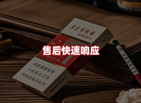 专业团队